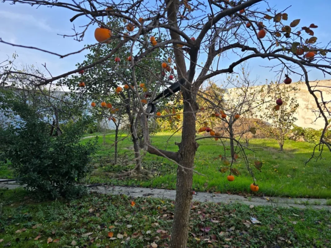 Satılır 6 otaqlı həyət evi 500 m²