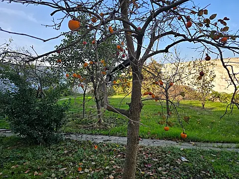 Satılır 6 otaqlı həyət evi 500 m²