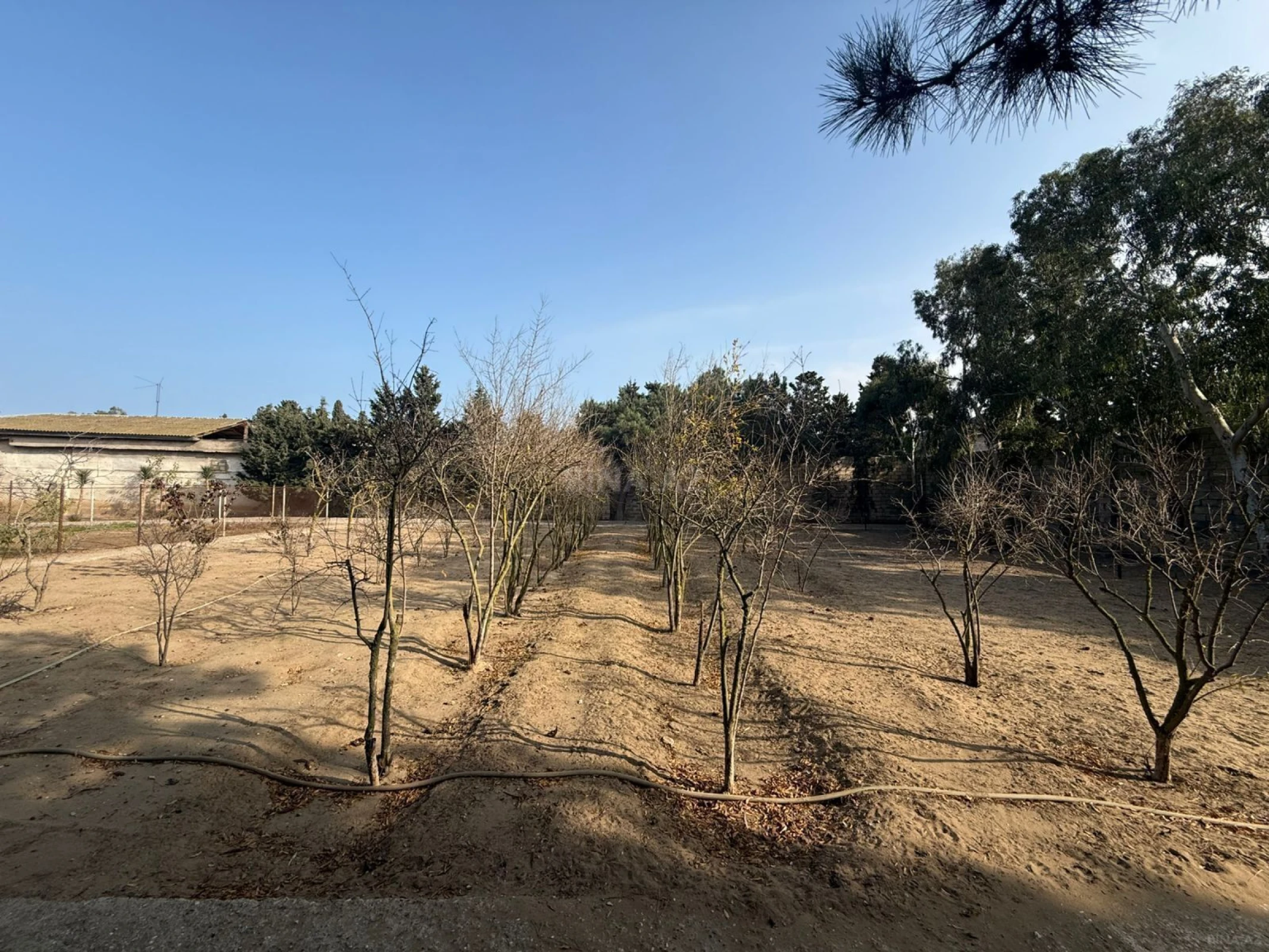 Satılır torpaq sahəsi 22 m²