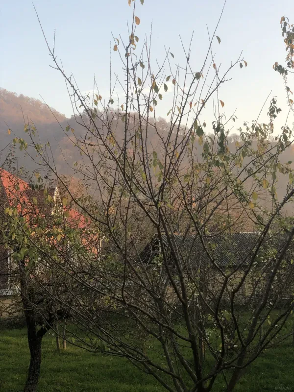 Satılır 4 otaqlı həyət evi 130 m²