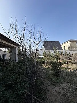 Satılır torpaq sahəsi 7 m²