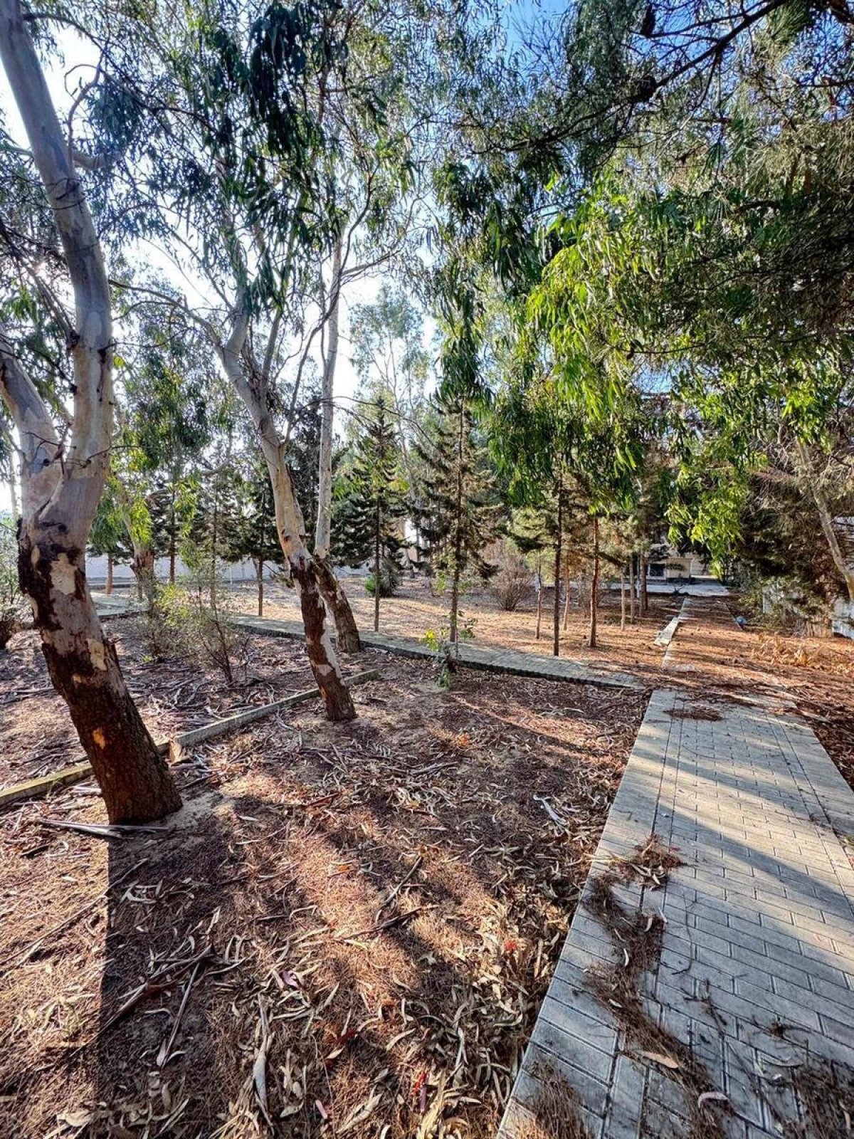 Satılır 7 otaqlı həyət evi 450 m²