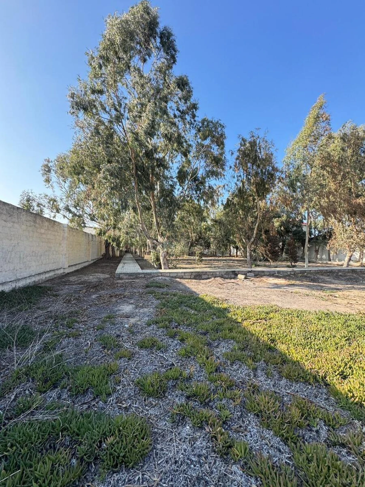 Satılır 7 otaqlı həyət evi 450 m²