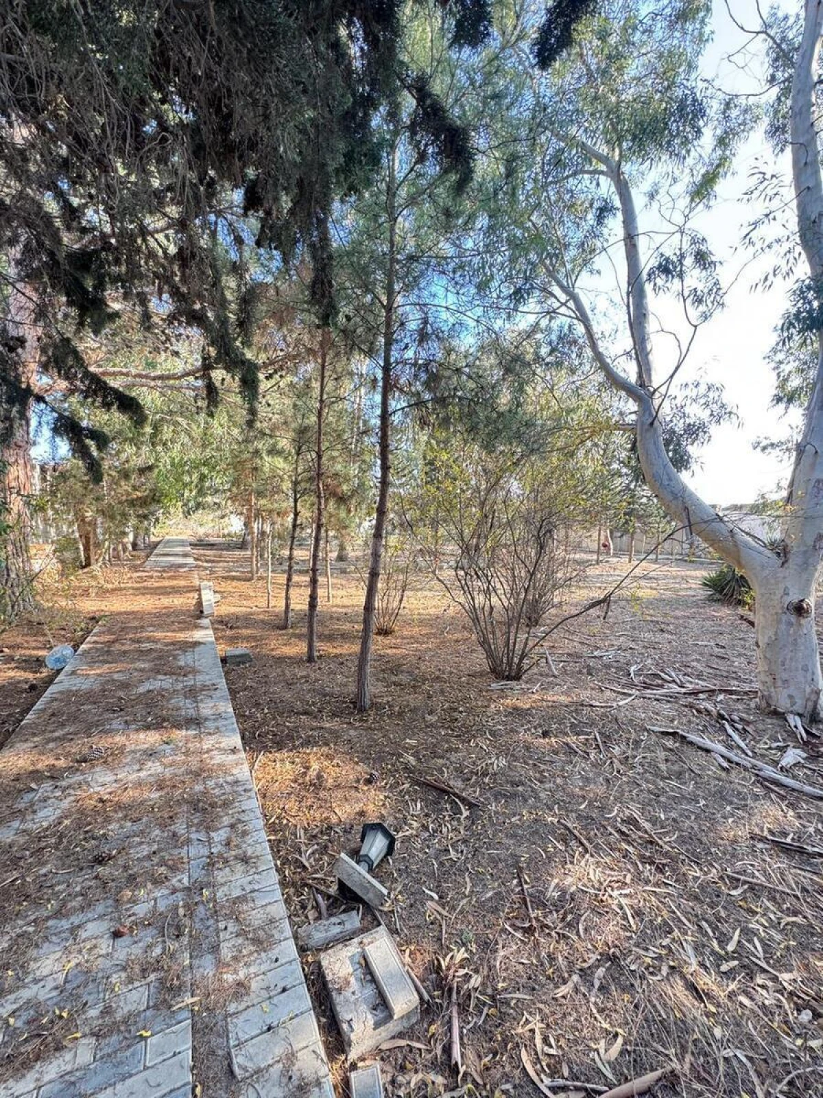 Satılır 7 otaqlı həyət evi 450 m²