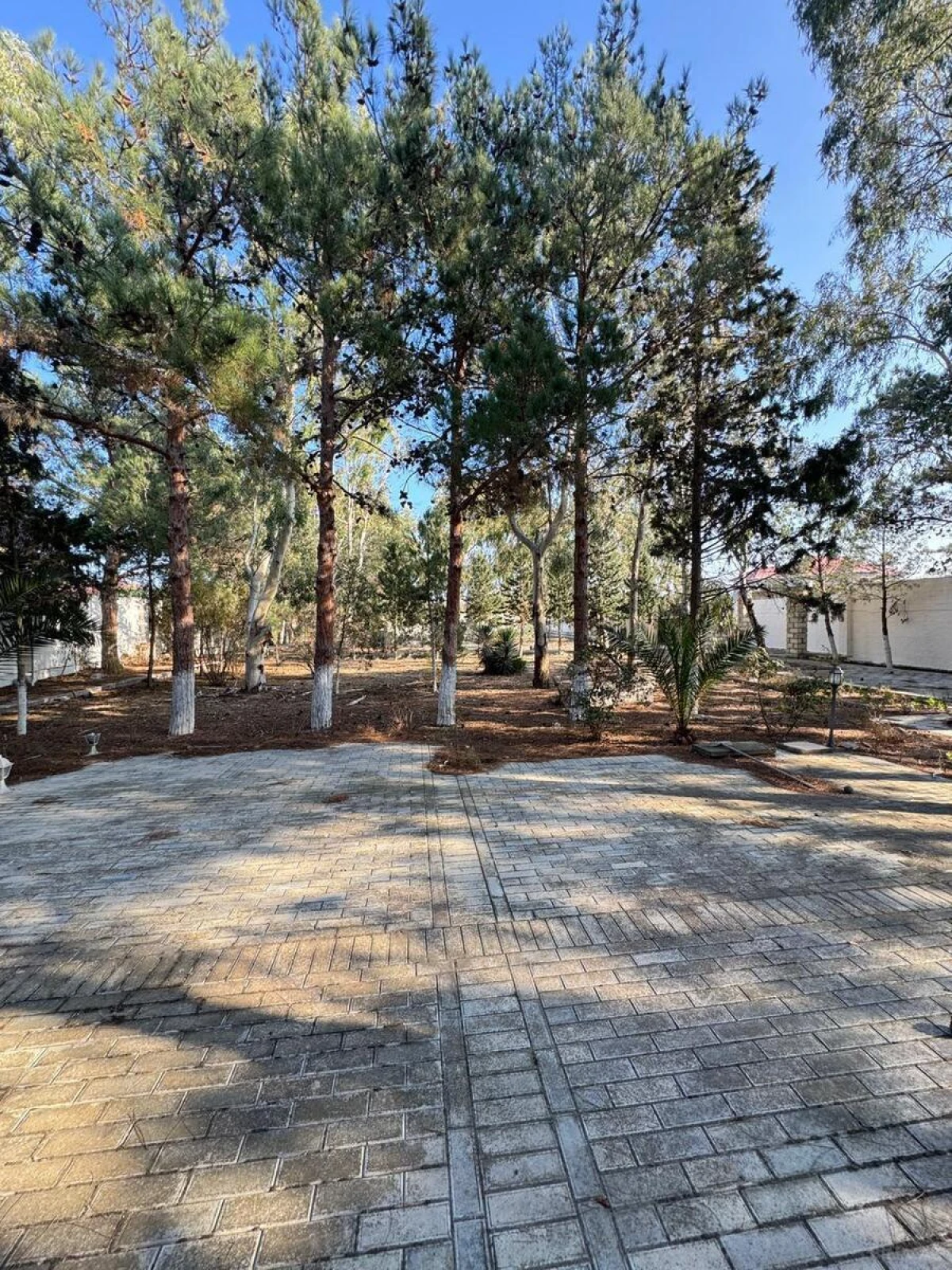 Satılır 7 otaqlı həyət evi 450 m²