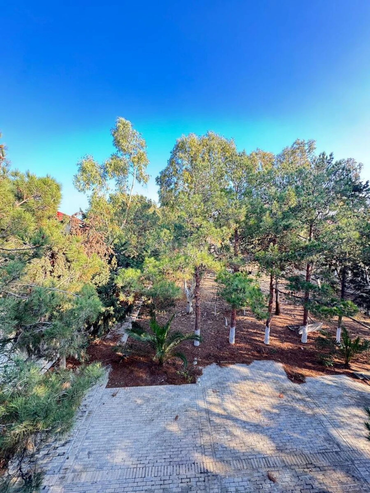 Satılır 7 otaqlı həyət evi 450 m²