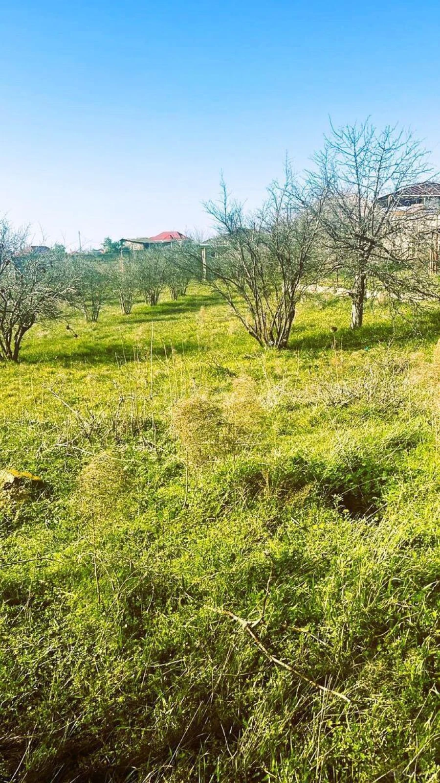 Satılır torpaq sahəsi 23 m²