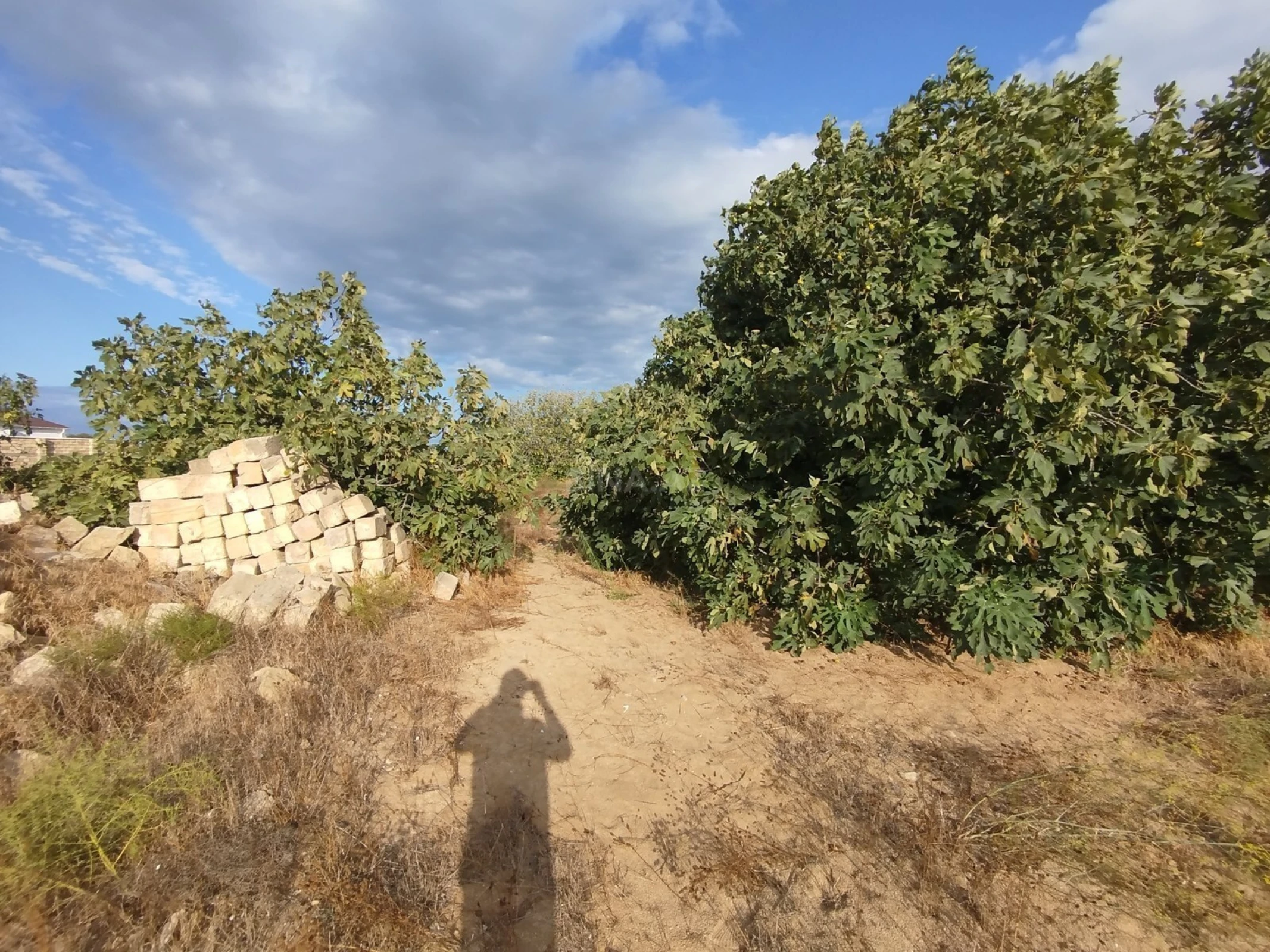 Satılır torpaq sahəsi 40 m²