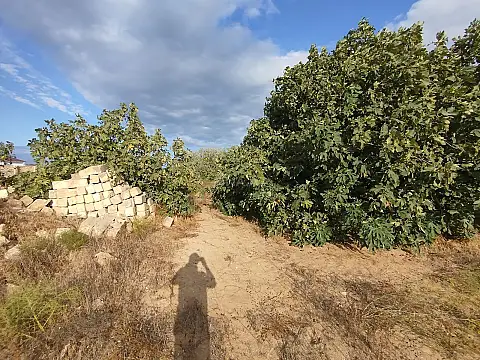 Satılır torpaq sahəsi 40 m²