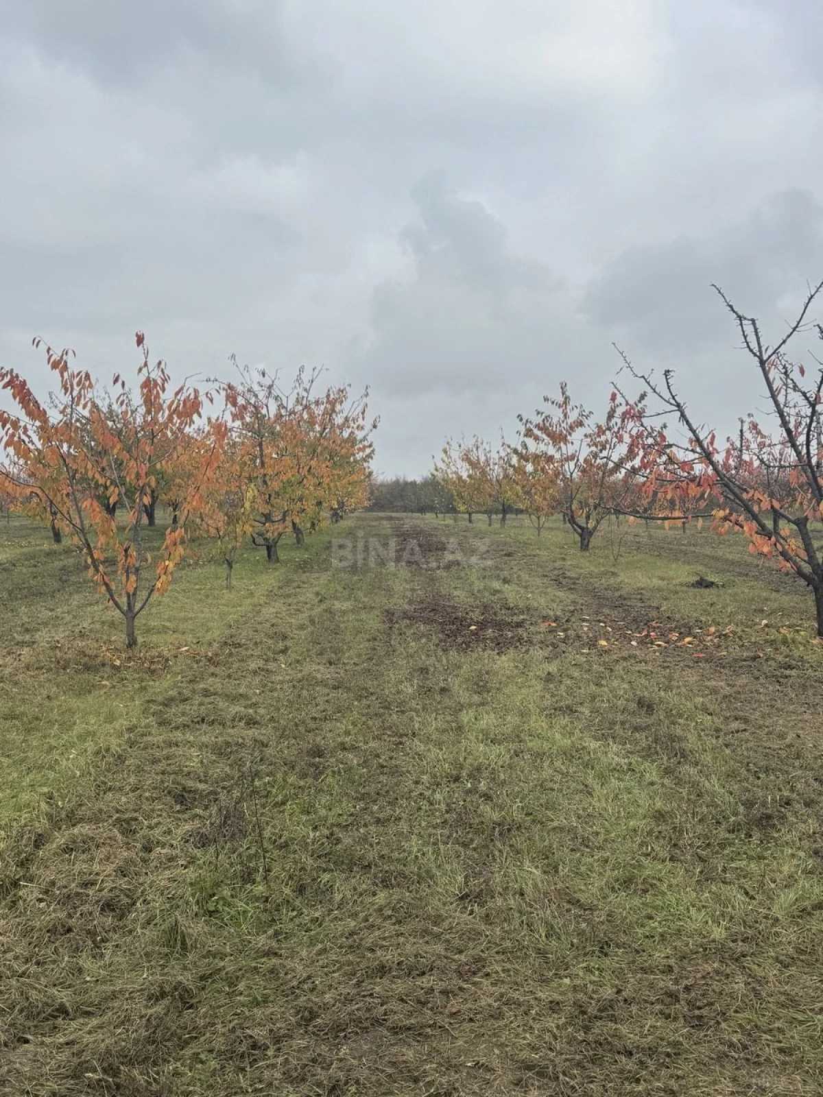 Satılır torpaq sahəsi 81 m²