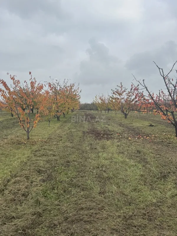 Satılır torpaq sahəsi 81 m²