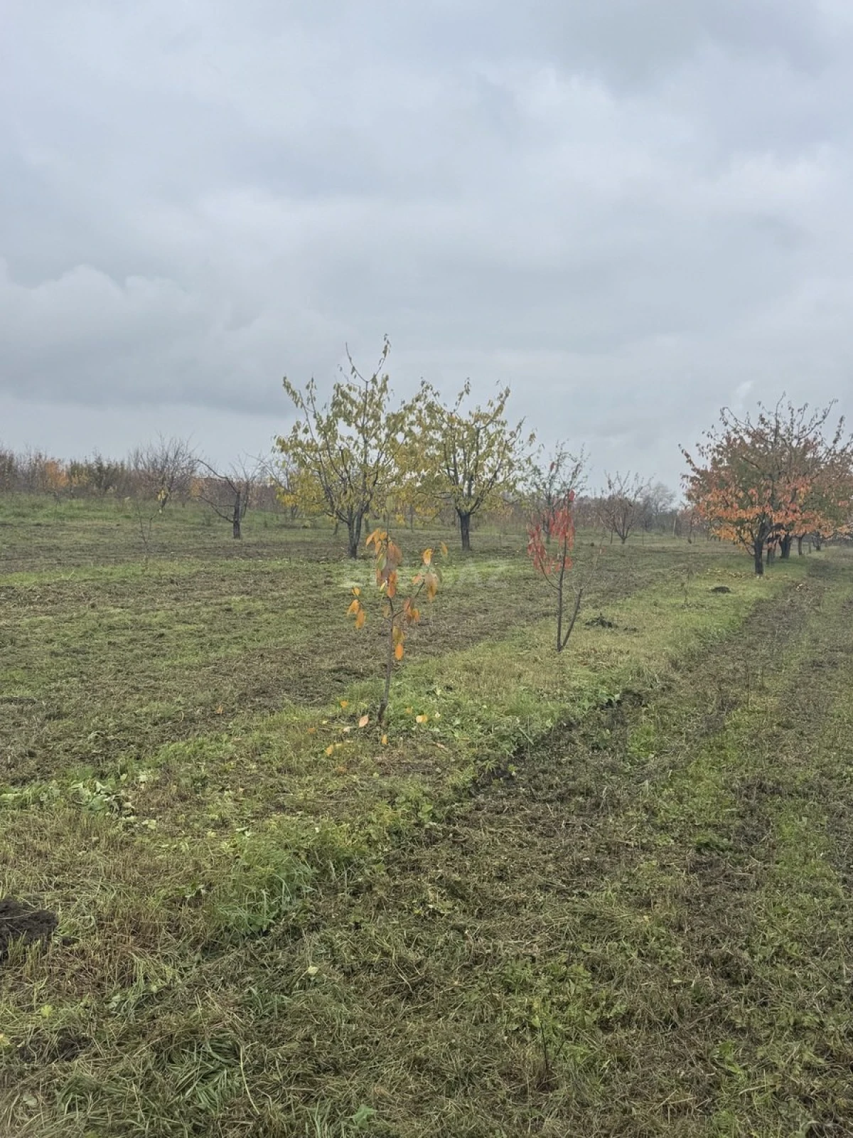 Satılır torpaq sahəsi 81 m²