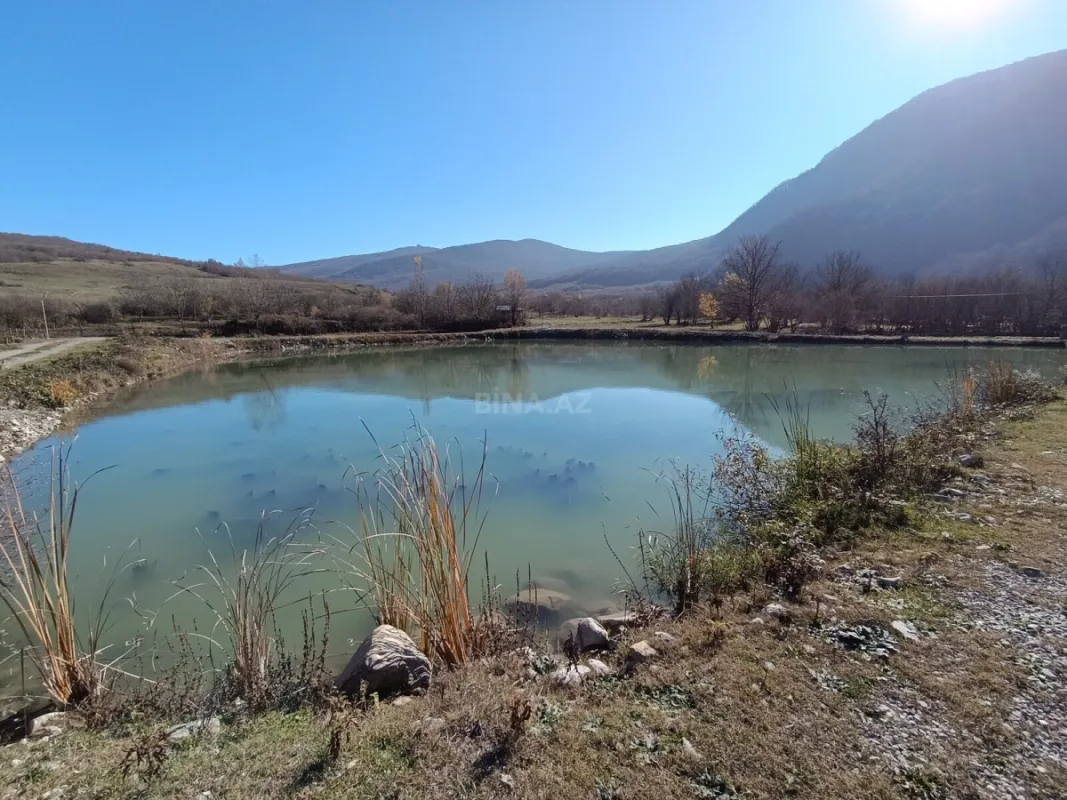 Satılır obyekt 50000 m²
