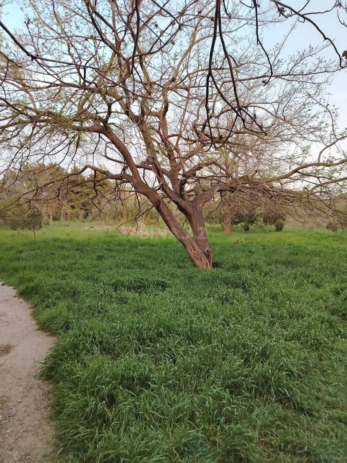 Satılır torpaq sahəsi 1.7 m²