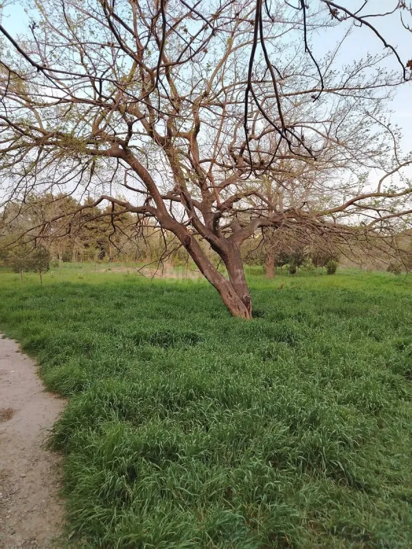 Satılır torpaq sahəsi 1.7 m²