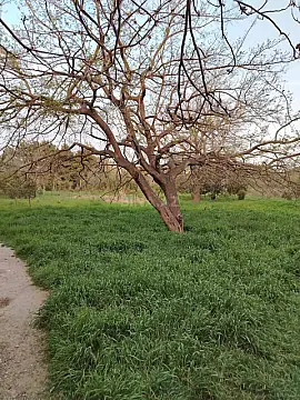 Satılır torpaq sahəsi 1.7 m²