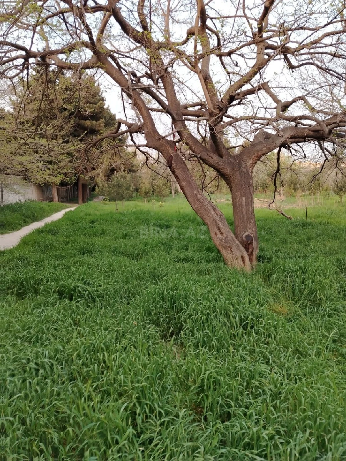 Satılır torpaq sahəsi 1.7 m²