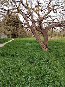 Satılır torpaq sahəsi 1.7 m² — Bakı, Nəsimi 1.70 m²