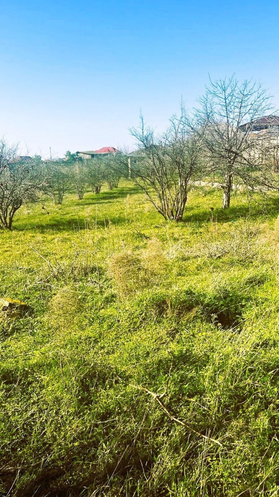 Satılır torpaq sahəsi 23 m²