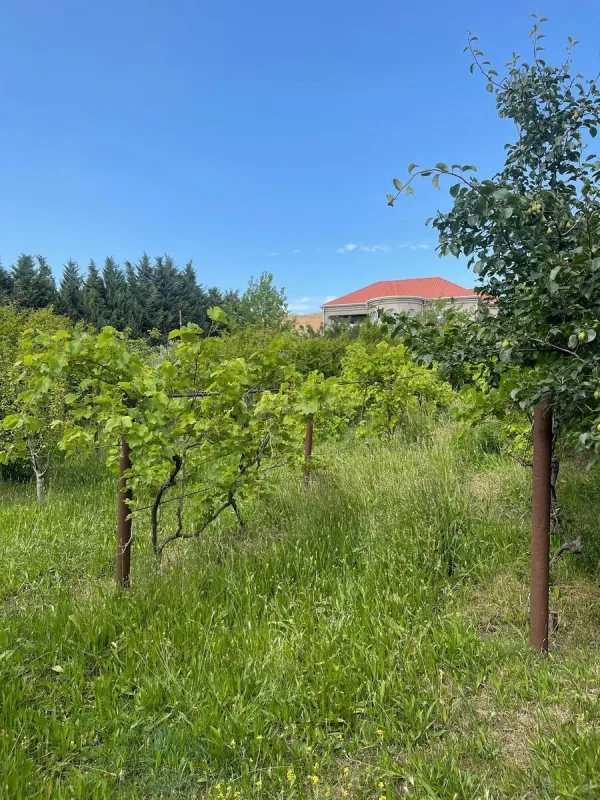 Satılır torpaq sahəsi 12 m²