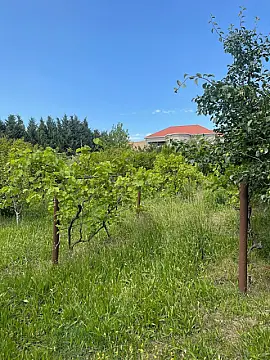 Satılır torpaq sahəsi 12 m²