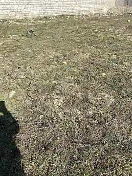 Satılır torpaq sahəsi 5 m² — Bakı, Nardaran 5.00 m²