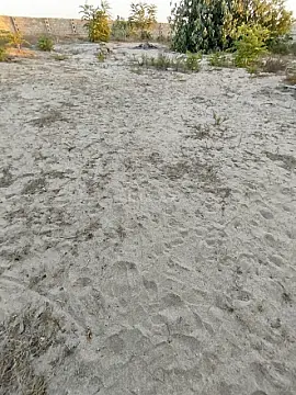 Satılır torpaq sahəsi 6 m²