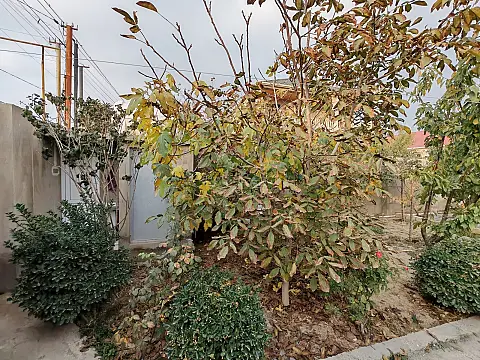 Satılır 5 otaqlı həyət evi 180 m²