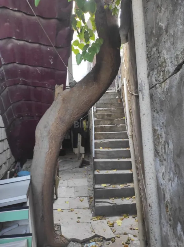 Kirayə verilir 4 otaqlı mənzil 110 m²