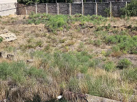 Satılır torpaq sahəsi 40 m²