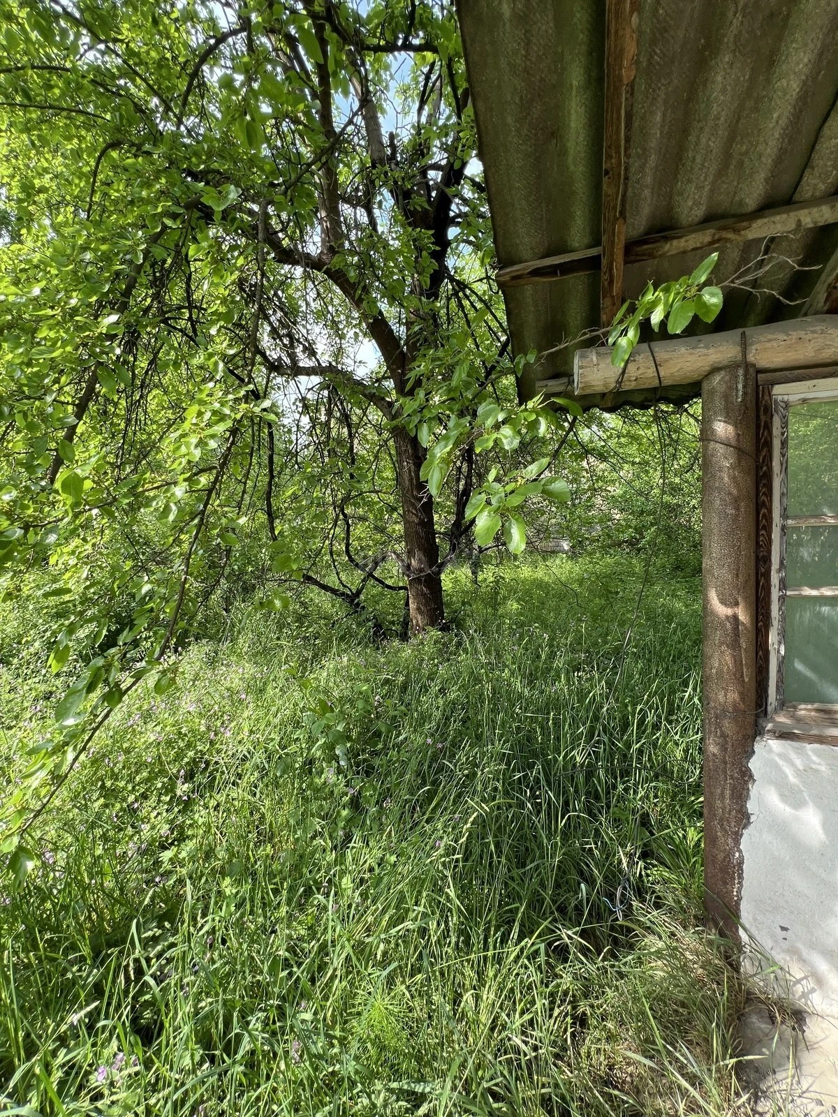 Satılır torpaq sahəsi 17 m²