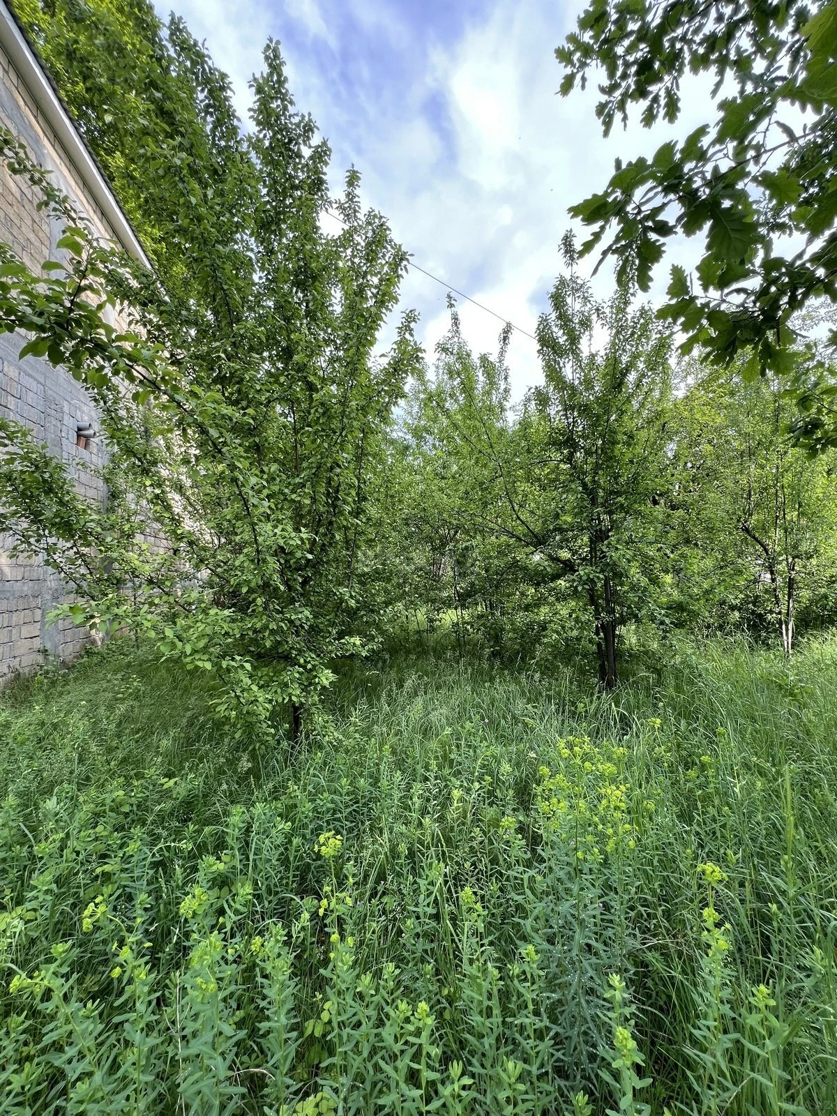 Satılır torpaq sahəsi 17 m²