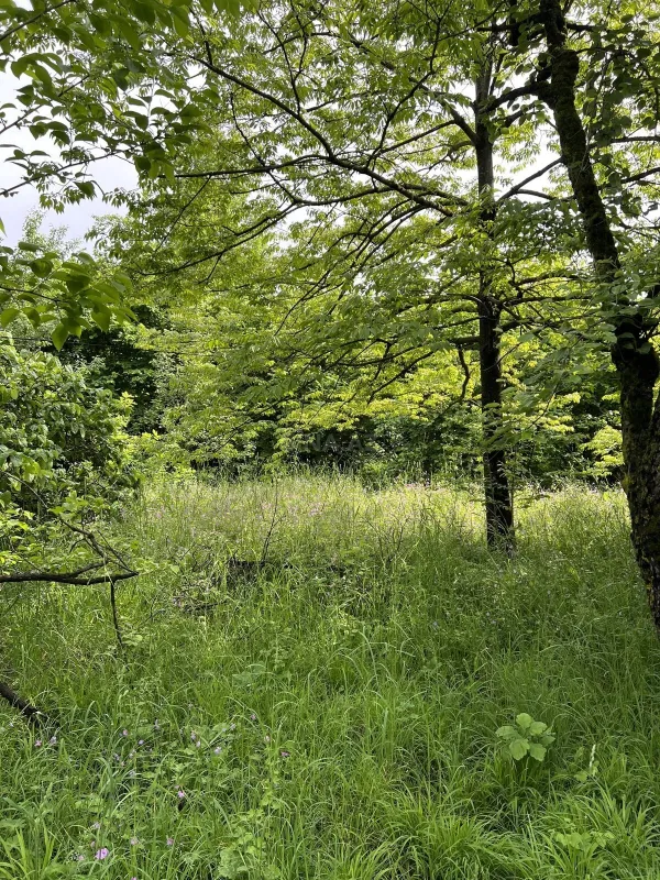 Satılır torpaq sahəsi 17 m²