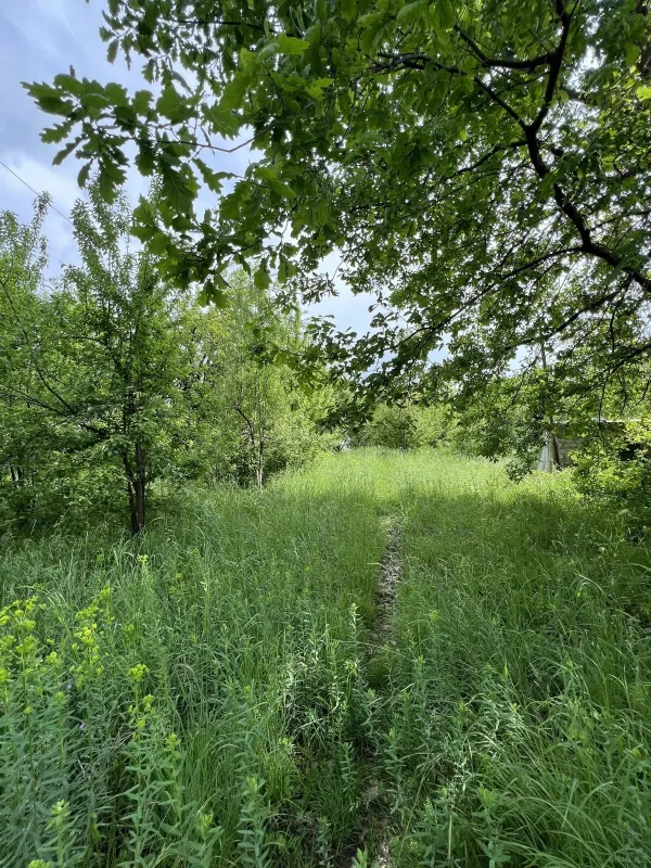 Satılır torpaq sahəsi 17 m²