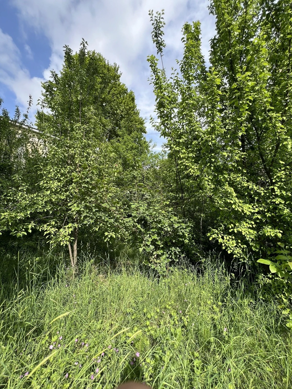 Satılır torpaq sahəsi 17 m²