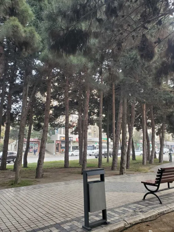 Satılır 3 otaqlı mənzil 65 m²