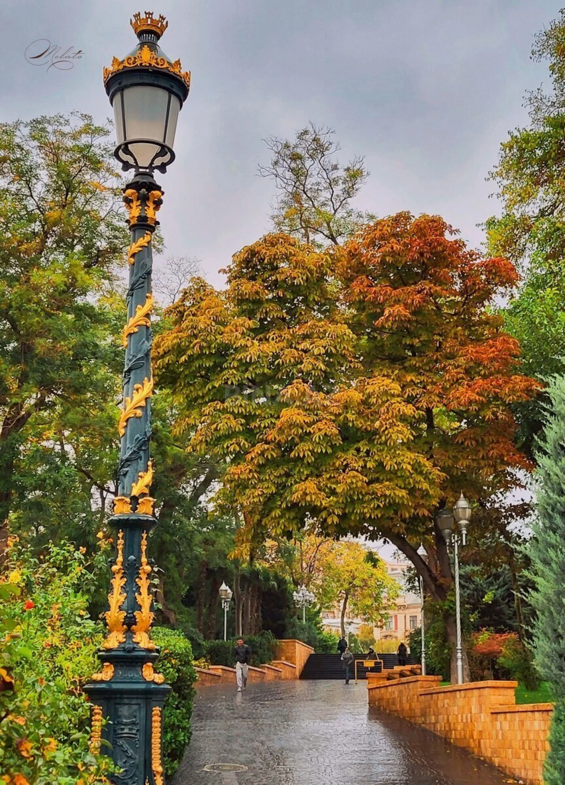 Satılır obyekt 2400 m²