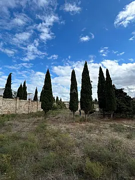 Satılır torpaq sahəsi 24 m²