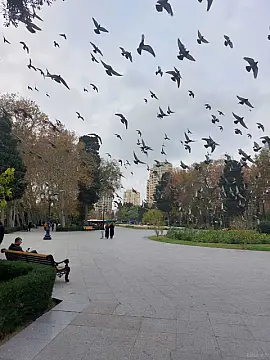 Satılır 5 otaqlı mənzil 210 m² — Bakı, Sahil qəs. 5 otaq 210.00 m²