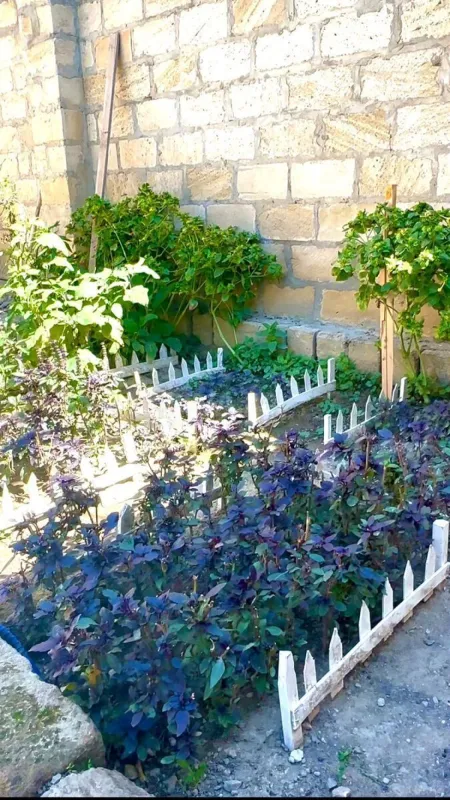 Satılır 6 otaqlı həyət evi 220 m²