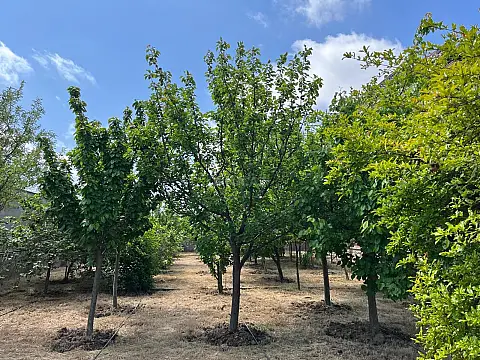 Satılır 7 otaqlı həyət evi 400 m²