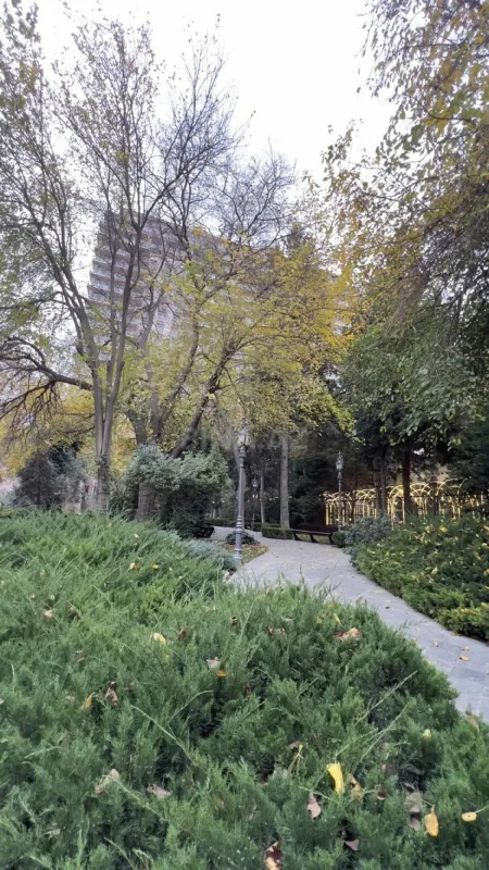 Satılır 3 otaqlı mənzil 77 m²