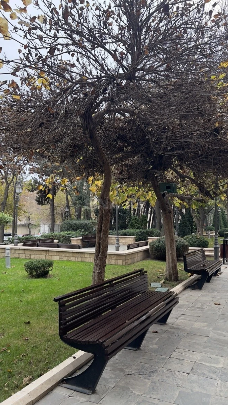 Satılır 3 otaqlı mənzil 77 m²