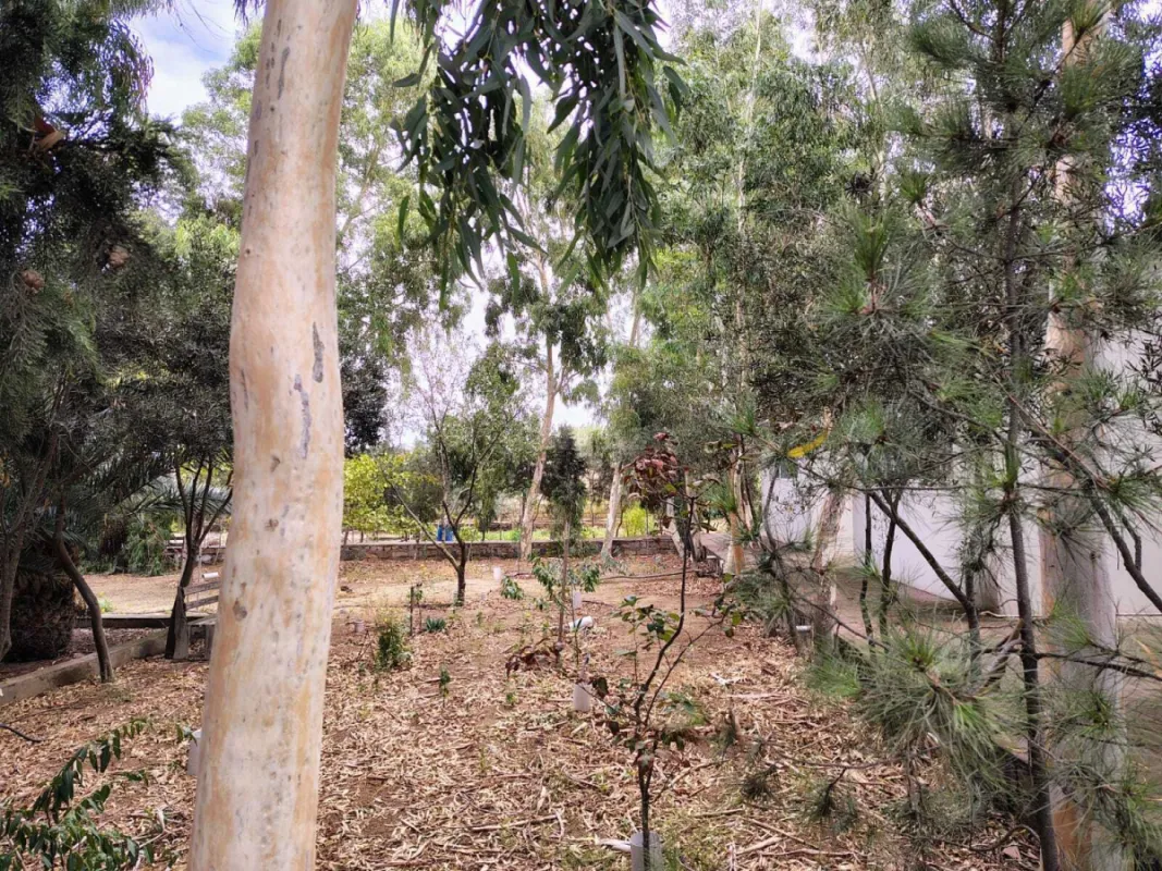 Satılır torpaq sahəsi 44 m²