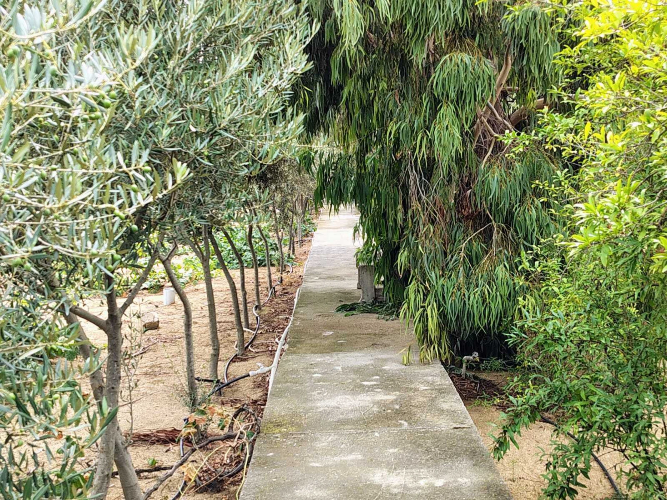 Satılır torpaq sahəsi 44 m²