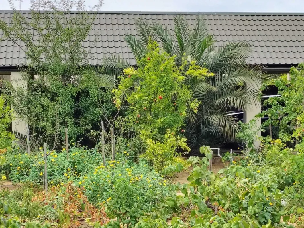 Satılır torpaq sahəsi 44 m²