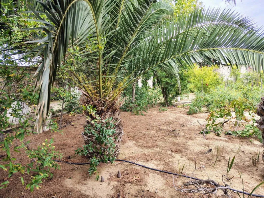 Satılır torpaq sahəsi 44 m²