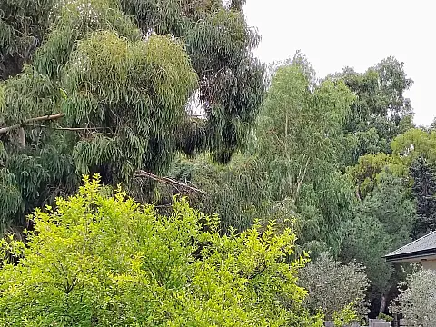 Satılır torpaq sahəsi 44 m² — Bakı, Nardaran 44.00 m²