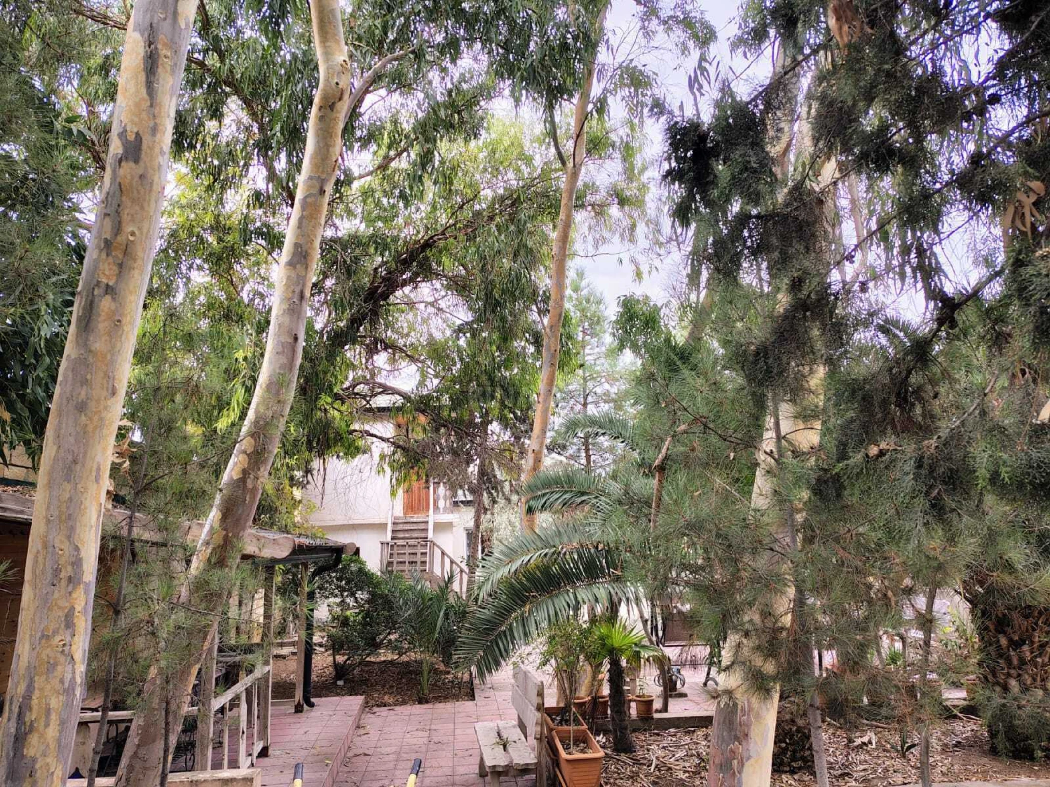 Satılır torpaq sahəsi 44 m²