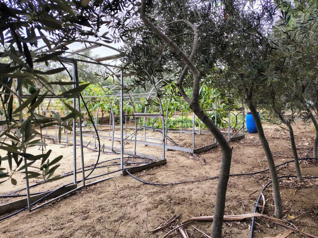 Satılır torpaq sahəsi 44 m²